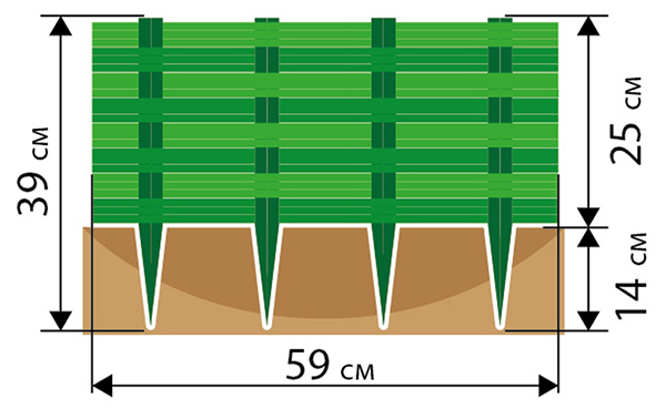 Iva-chema.jpg Iva-chema.jpg