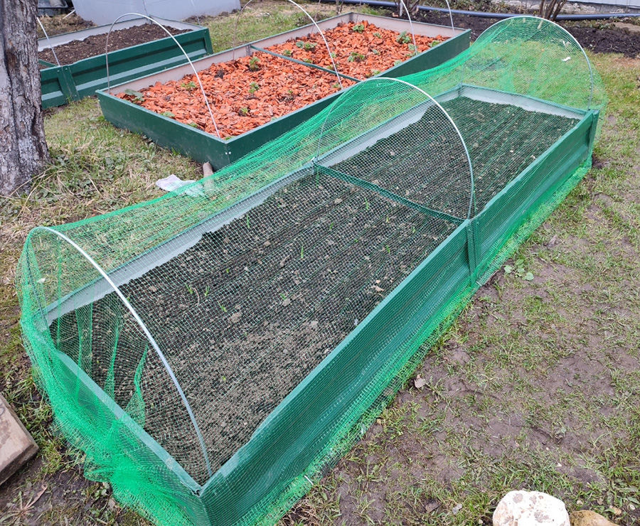 фото из отзыва на Озон по У-7 (защита грядок, фото-3).jpg