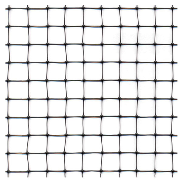 Sushka-yach15x15 копия.jpg